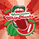 Príchuť Big Mouth Classical - Watermelon ChipMunks